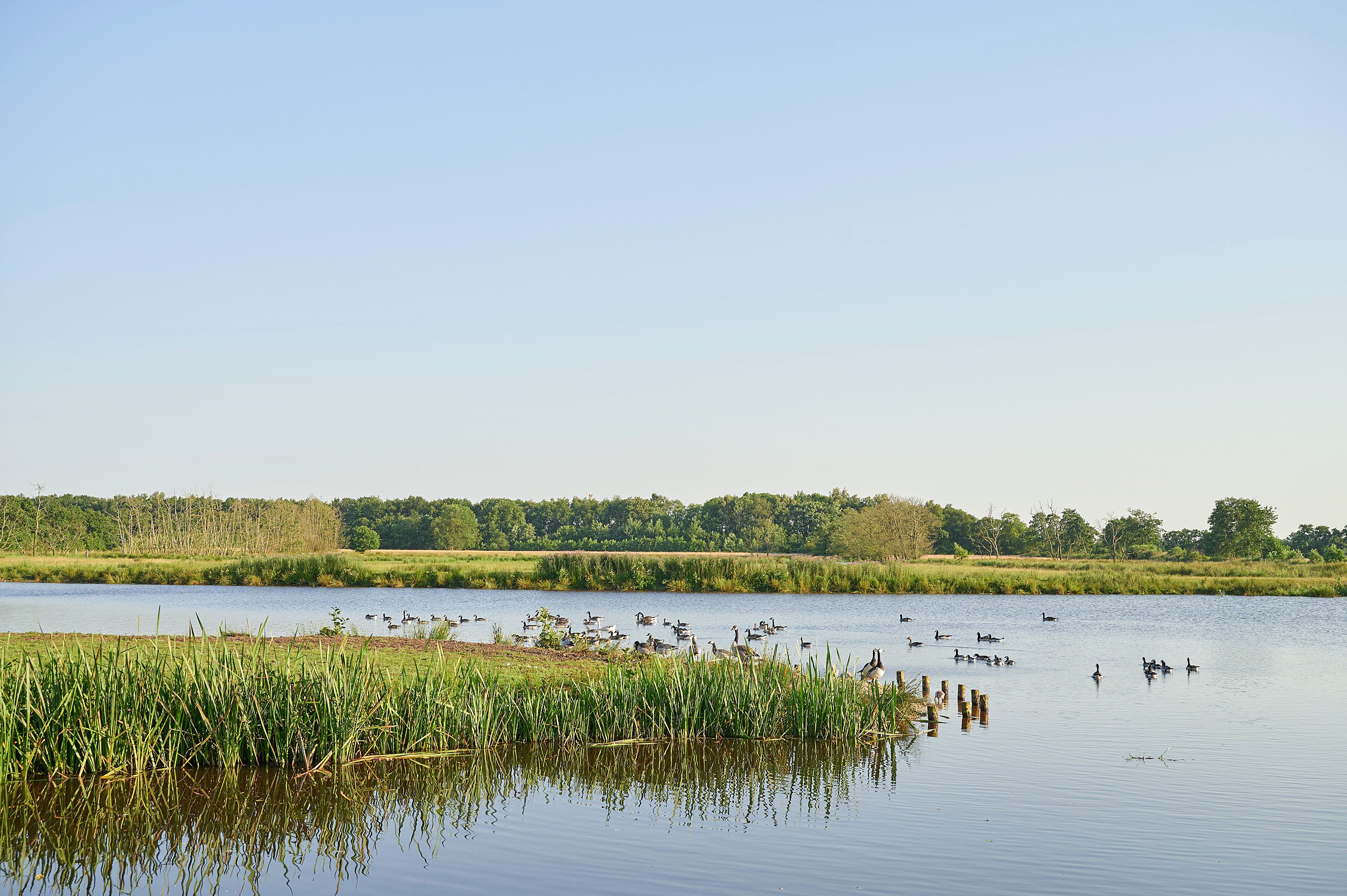 architectuurfotograaf_friesland__0020