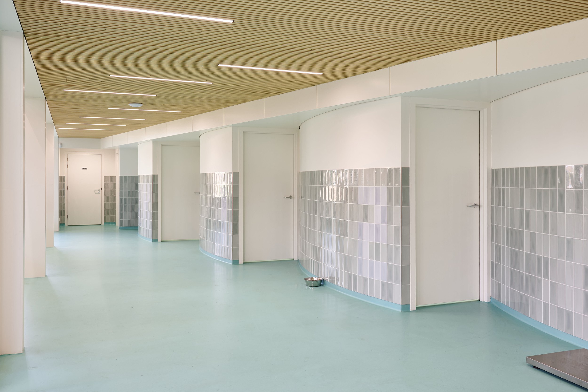 daad_artsendier__0083