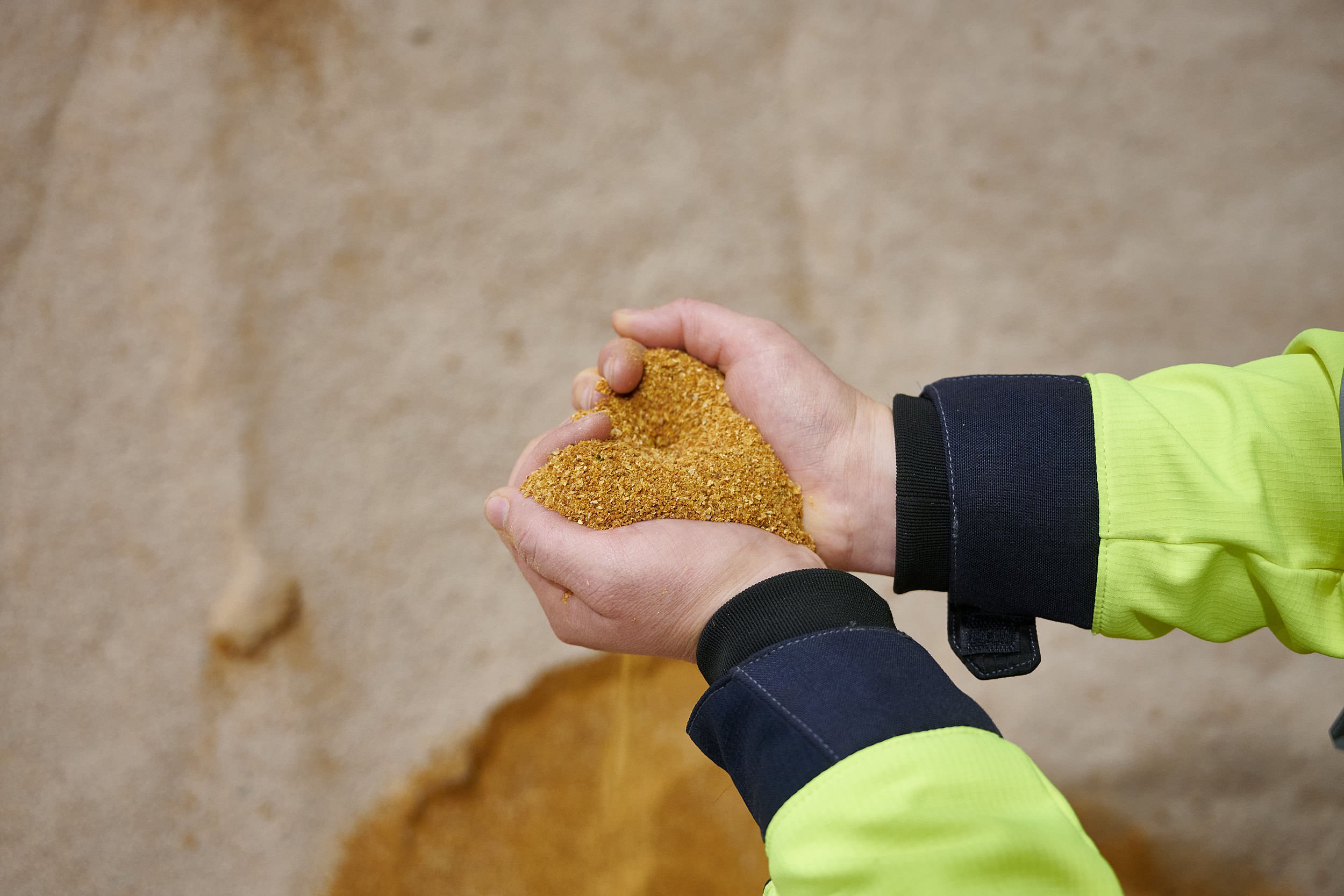 fotografie_sfpgroup__0006